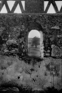 Dead Alentejo