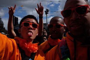 The Orange Day Netherlands