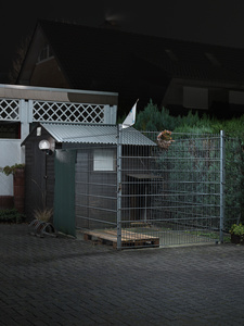 Dogkennel (Mainseries)