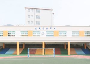 Fifth School Day (V)