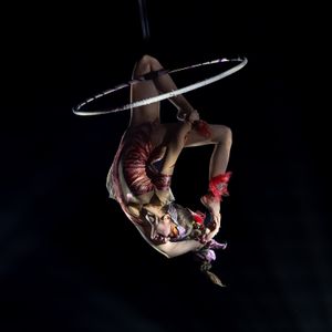 Aerial Art - Elegance - Lucioza