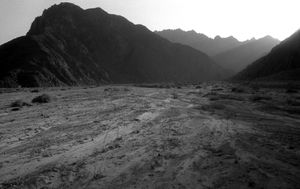 Wadi Nassib