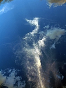 Sky 3 - Sea Horse
