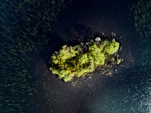 Island