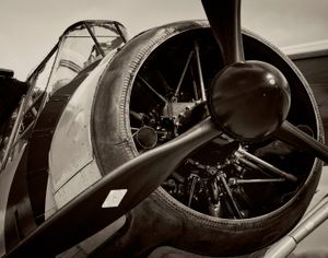 Westland Lysander