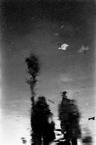 REFLECTIONS 05