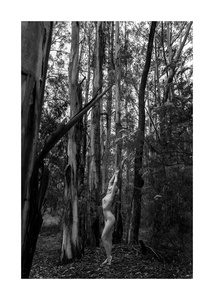 Human Nature- Namadgi - Australia #2