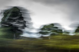 65 MPH Series_Untitled 13