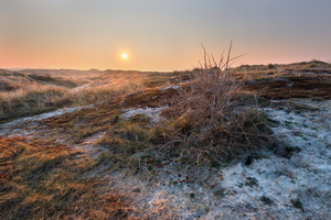 Dunelands II