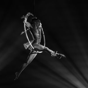 Aerial Art - Elegance - Lucioza