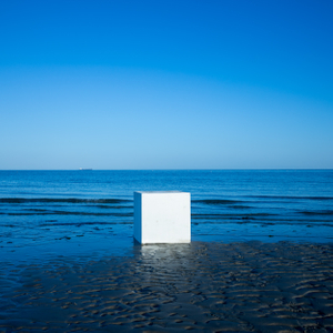 Untitled (Blank Box)