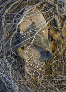 Forgotten Footsteps