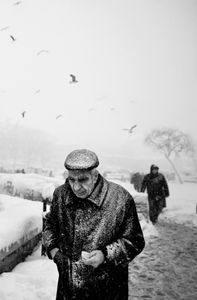 The passenger