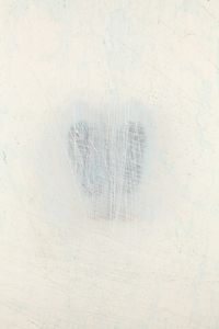 Camouflage_001, 2010