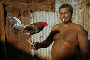 Cockfight Alley - Guantanamo, Cuba 2016