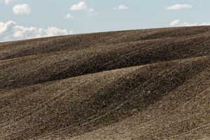 Palouse, WA. Study #48                       (46 46.3536N - 117 31.9883W)