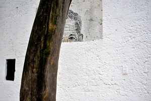 Looking for an Ahuehuete - A Part-time Mexican Photographs the Capital