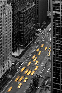 New York Taxis