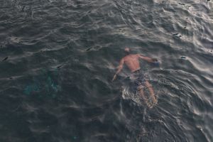 Man is diving in the pool