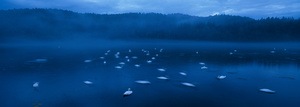 Zbilje Slovenia