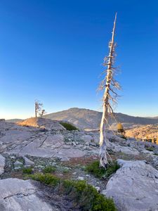 Evening light and Lacey (8,216'): Grouse Basin non-motorized area. Tahoe Sierra, CA