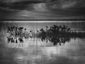 Beside the water II