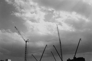 Untitled 008