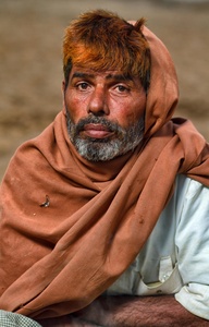 Camel Herder
