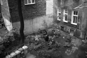 The Graden of the Gebirtig house in Krakow.