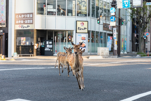 9/12/2020_In the middle of the intersection