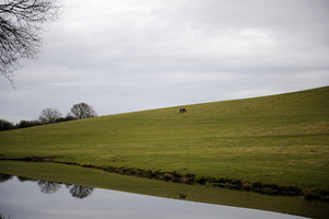 Stourbridge Canal