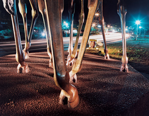 African Nights