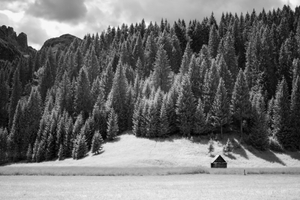 Sappada