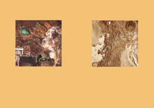 Earth Herbarium, Part III © Evgeny Molodtsov