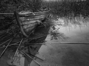 Beside the water II