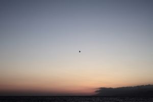 second morning #12
