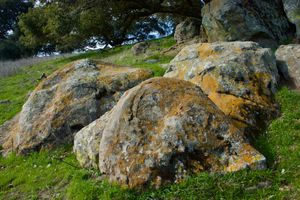 Briones Regional Park. North Bay.