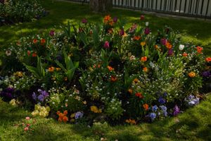 flowers