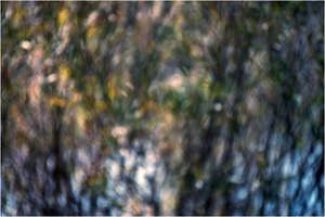 In a Landscape #5