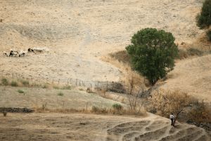 Nebrodi mountains, Sicily 2009