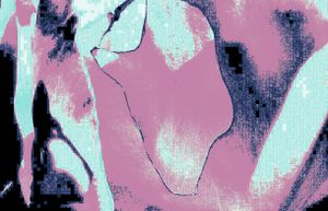 Metamorphosis 59