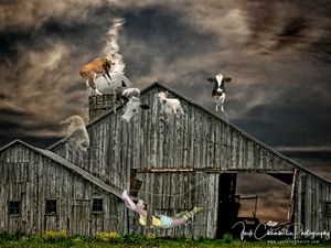 Tending the Stock