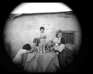 Boy and goats