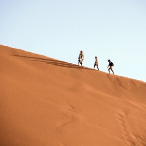 Dune Up