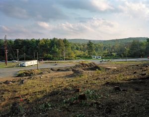 Tree Stumps, 2009