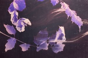 Act I - Intrinsic Maturation