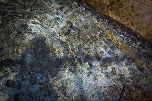 My Shadow Cave Painting Self-Portrait