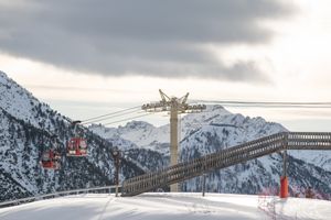 Gondolas -hanging like berries