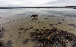 cooling down in salt water