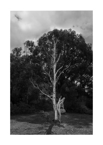 Human Nature- Namadgi - Australia #12